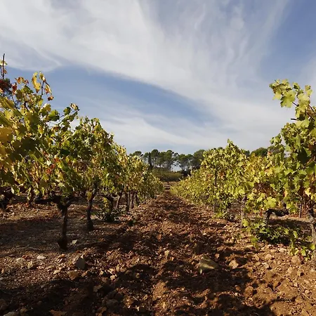 Domaine De Fauveris Bed and breakfast *
